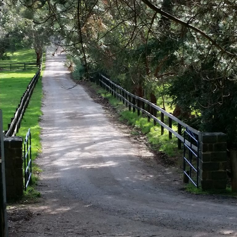 Country driveway 1