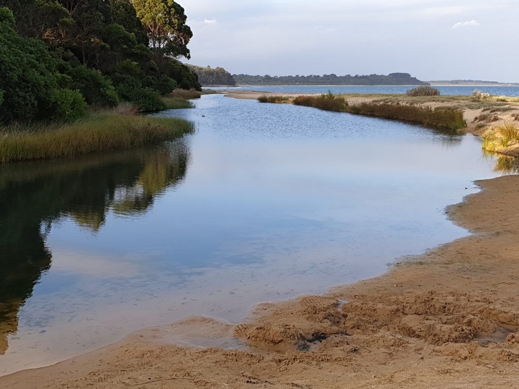 A peaceful river scene