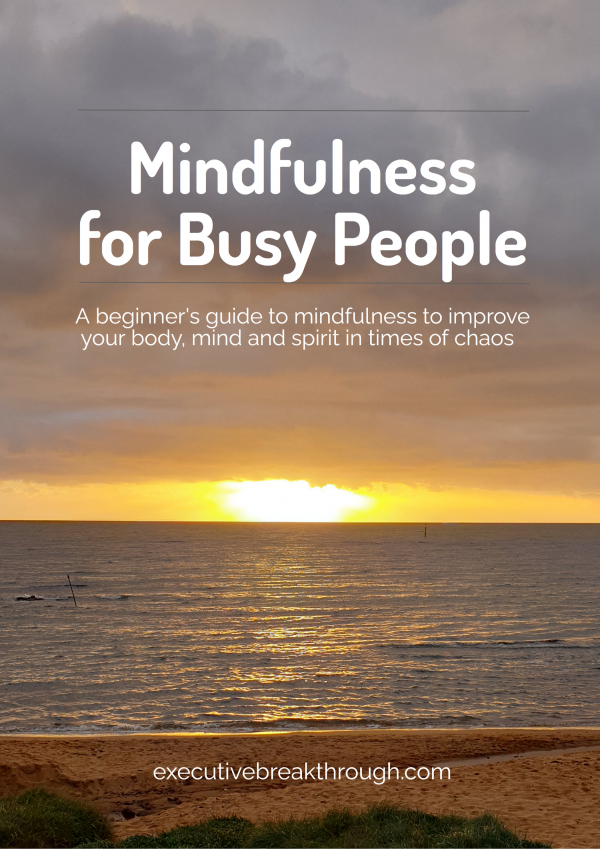 'Mindfulness for Busy People' 74-page e-book cover