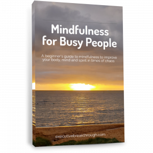 'Mindfulness for Busy People' 74-page e-book cover_1