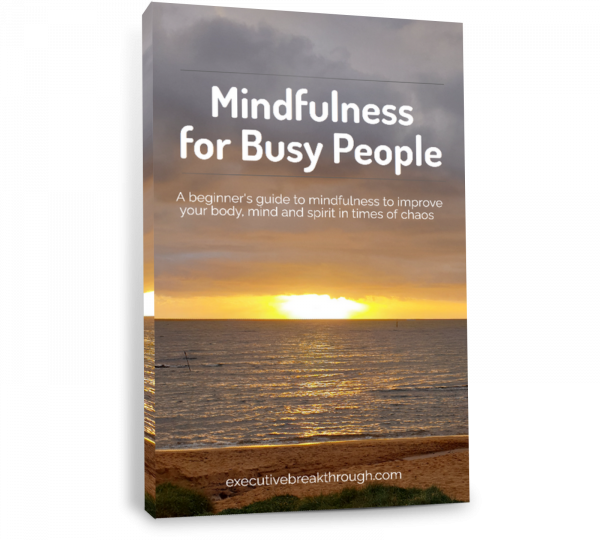 'Mindfulness for Busy People' 74-page e-book cover_1