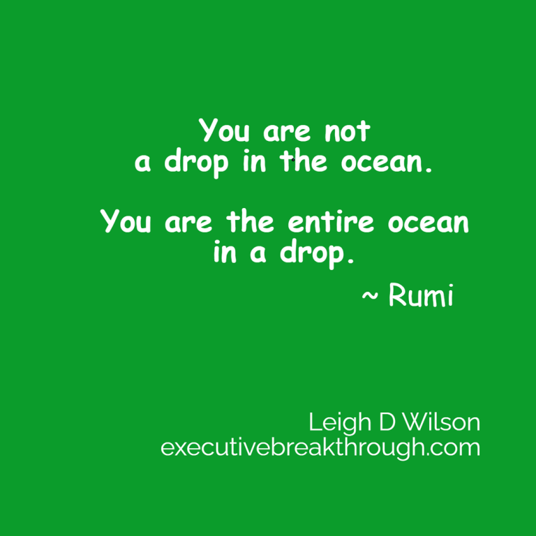 You are not a drop in the ocean. You are the entire ocean in a drop