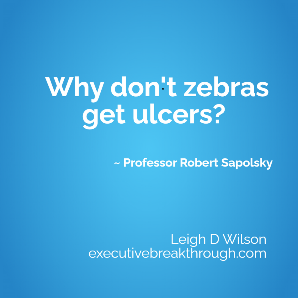 Why don't zebras get ulcers?