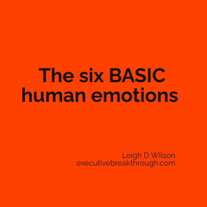 The six basic human emotions